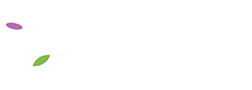 One Flower One Leaf Gallery Logo